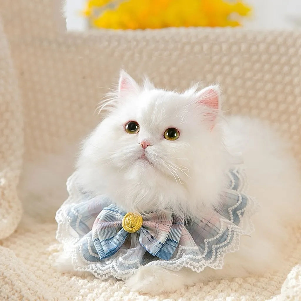 JK Uniform Style Lace Bow Cat Collar