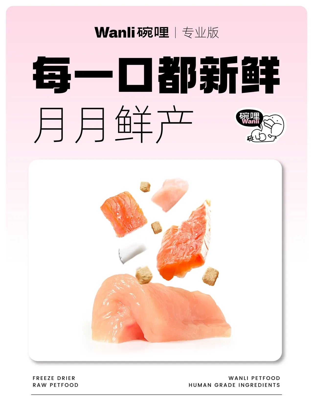 Complete Freeze-Dried Raw Food